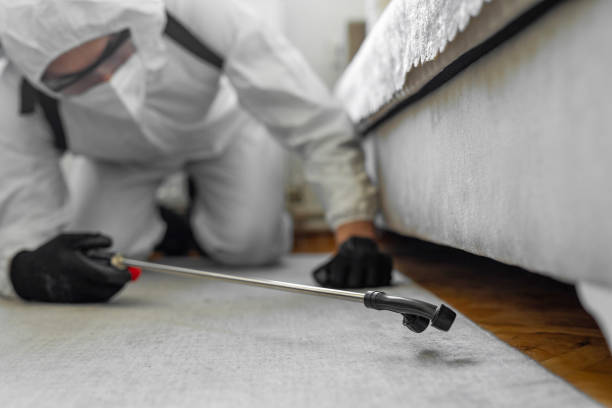 Professional Bed Bug Control technician working in Indian Hills, NV