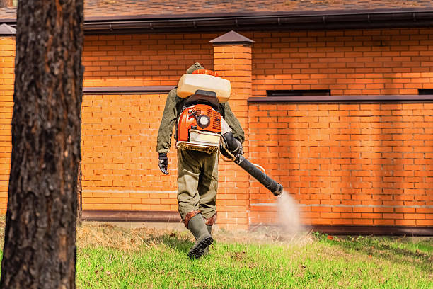 Trusted Termite Control service in Indian Hills, NV - Nex Pest Control